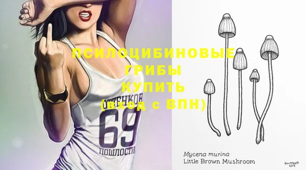 трава Михайловка